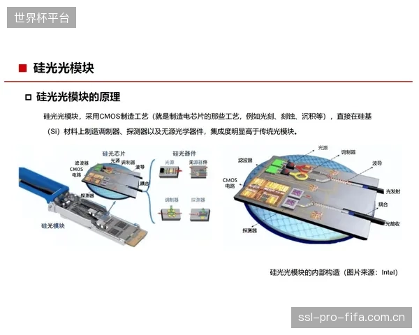 2027年预判：结合AI大模型的预测性维护将成为光纤光栅监测系统的下一个核心战场，市场将从“监测”走向“预测